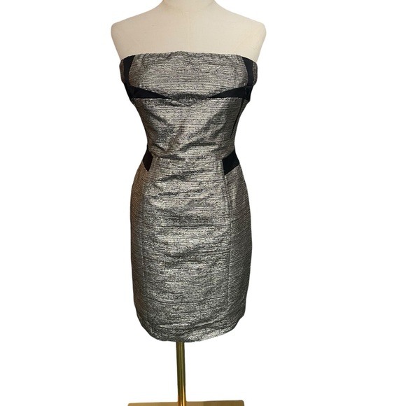See By Chloé Strapless Tube Bodycon Metallic Party Cocktail Dress
Sz 4 - Picture 4 of 14